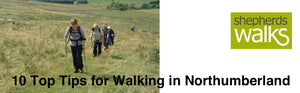 My Top 10 Tips for Walking in Northumberland