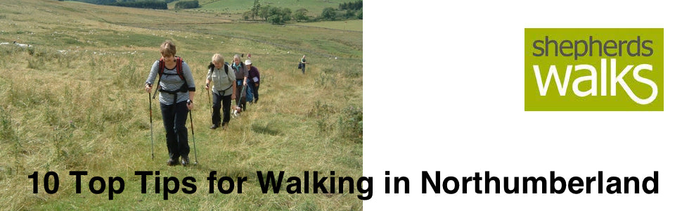 My Top 10 Tips for Walking in Northumberland