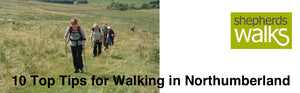 Top 10 Tips for Walking in Northumberland