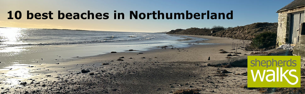 The Best 10 Beaches in Northumberland