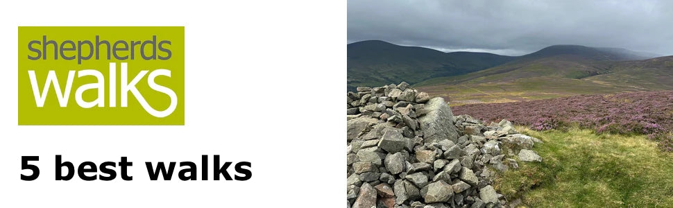 The best walks in Northumberland