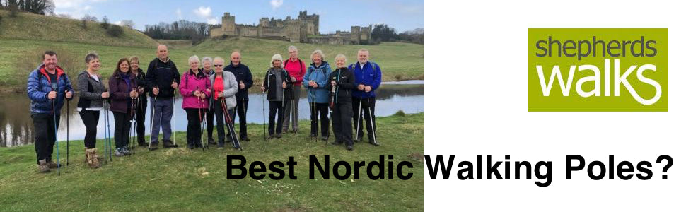 What are the Best Nordic Walking Poles for You?