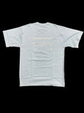 Light blue t-shirt with text on - I walked the wall
